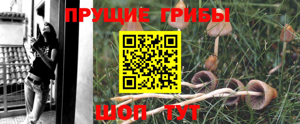 Галлюциногенные грибы ЛСД  Вход с VPN  Дальнегорск  Псилоцибиновые грибы мухоморы 