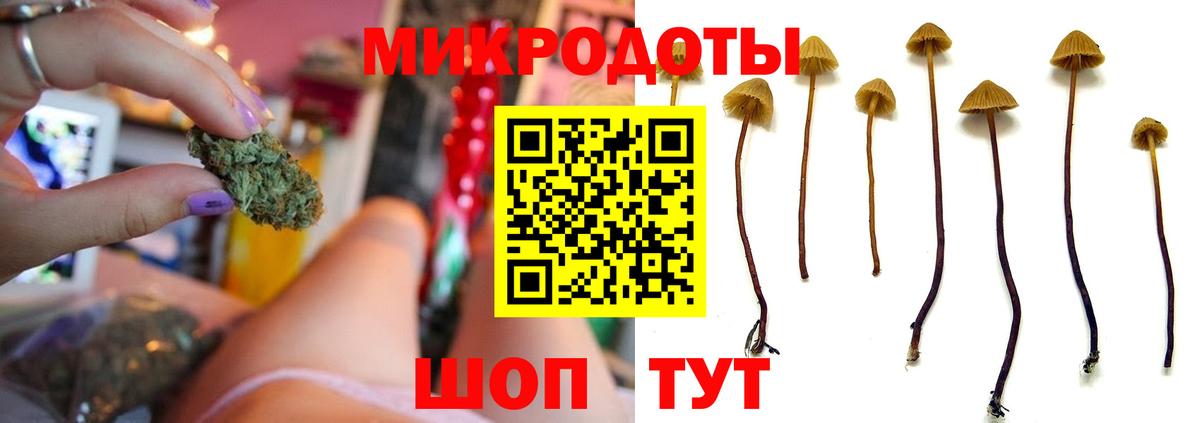 Псилоцибиновые грибы MAGIC MUSHROOMS Дальнегорск